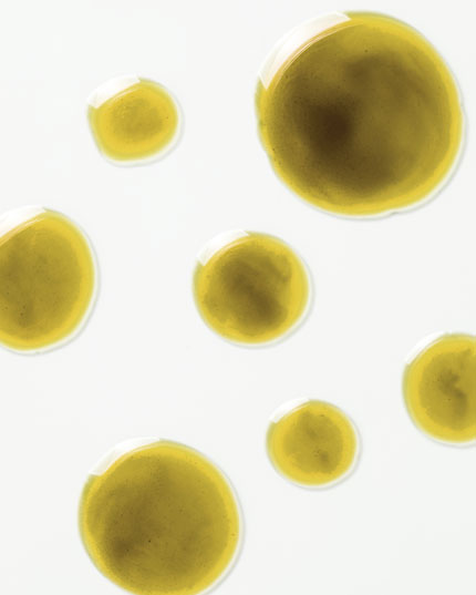 Bio zertifizierte Eigenschaften Bio zertifizierte Eigenschaften