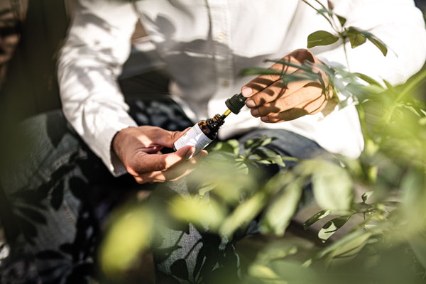 Hanf-CBD-Routine Hanf-CBD-Routine