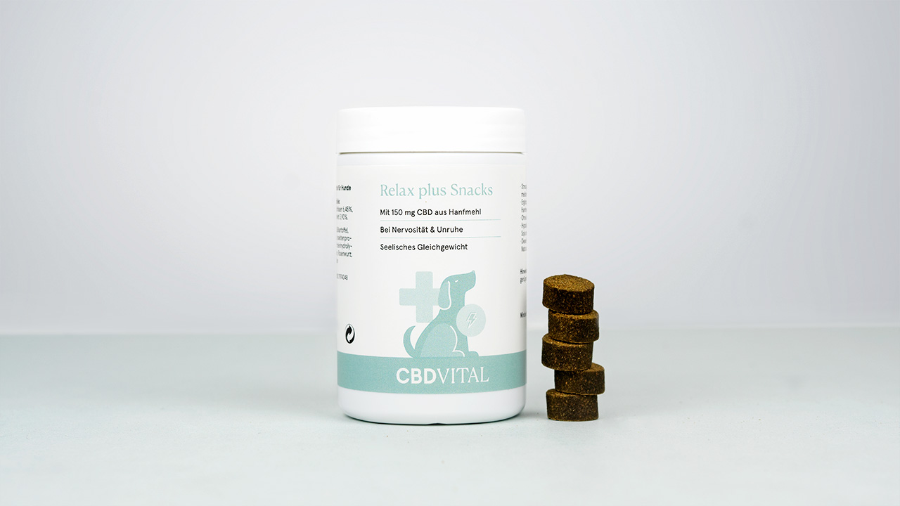 CBD Hunde-Snacks für gestresste Hunde CBD Hunde-Snacks für gestresste Hunde