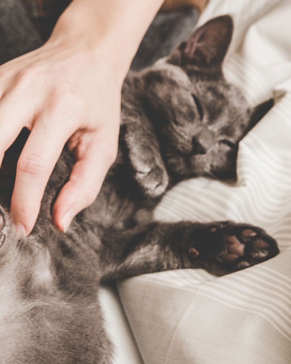 Mit Wirkstoffen aus über 350 Kräutern Mit Wirkstoffen aus über 350 Kräutern