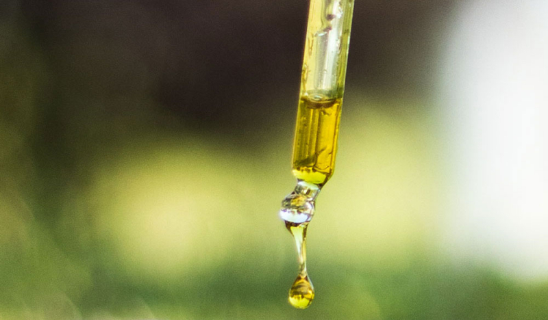 CBD-Konsum 2020: Deutschlands Bundesl&auml;nder im Vergleich