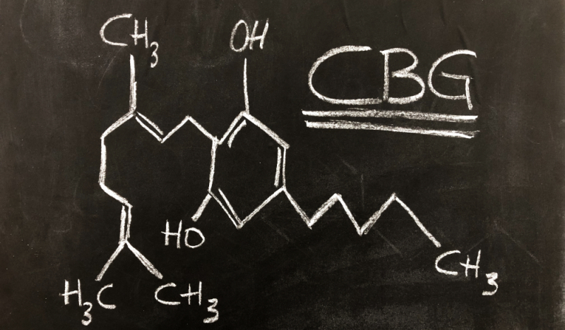 CBG - Was ist das? Cannabigerol Wirkung & Unterschied zu CBD