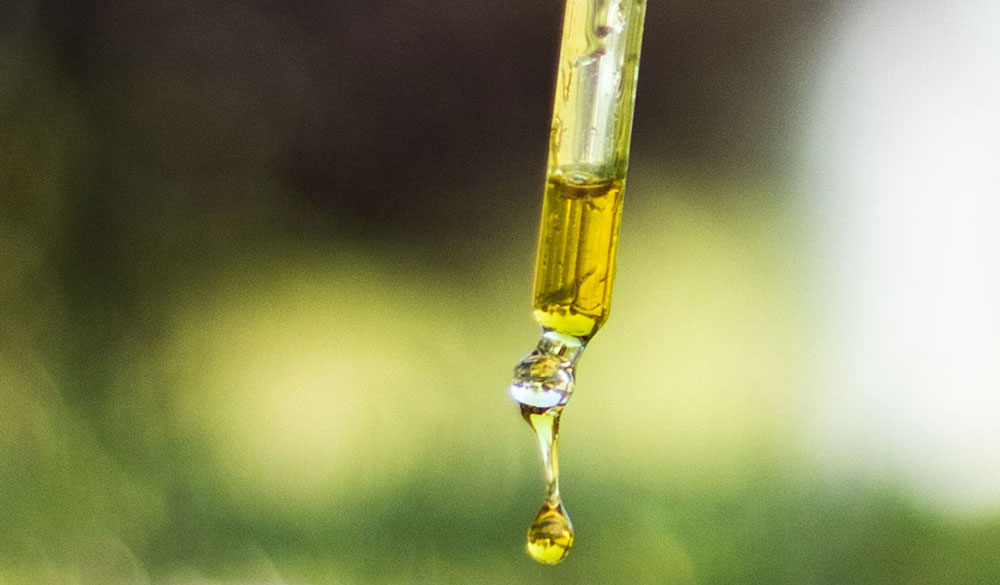 CBD-Konsum 2020: Deutschlands Bundesl&auml;nder im Vergleich