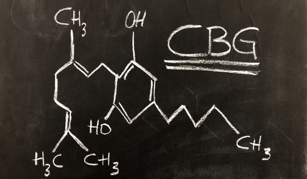 CBG - Was ist das? Cannabigerol Wirkung & Unterschied zu CBD