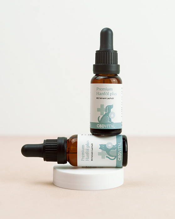 Auf die Qualit&auml;t kommt es an