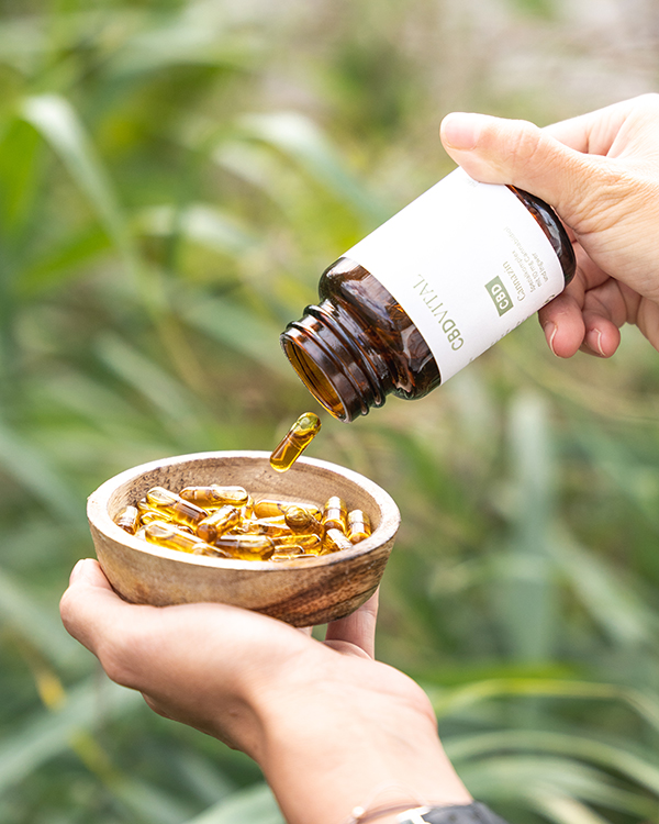 Pflanzliche Hilfsmittel f&uuml;r einen gesunden Magen & Darm