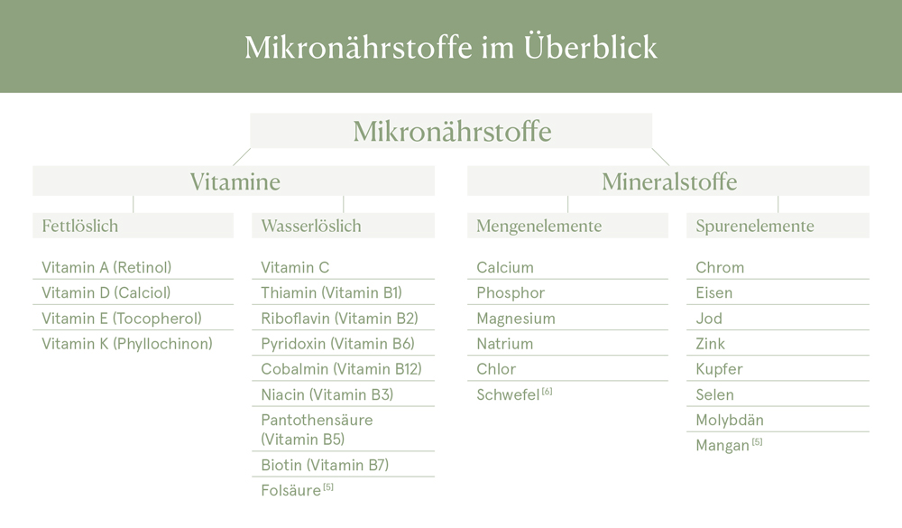 Mikron&auml;hrstoffe im &Uuml;berblick