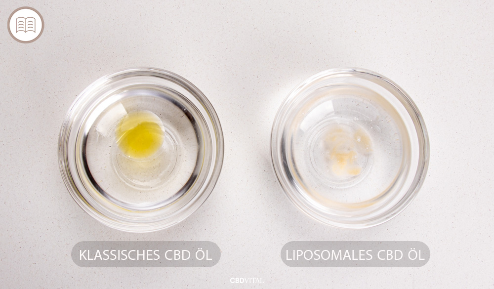 Herk&ouml;mmliches CBD &Ouml;l vs. liposomales CBD &Ouml;l