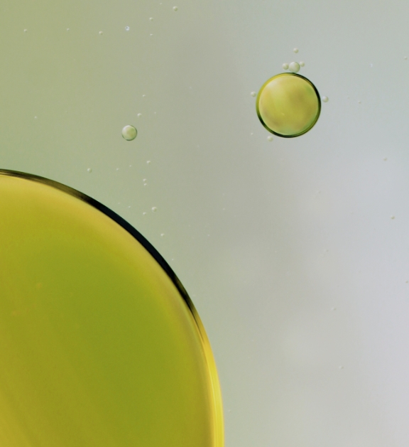 Nachhaltigkeit bei CBD VITAL Nachhaltigkeit bei CBD VITAL